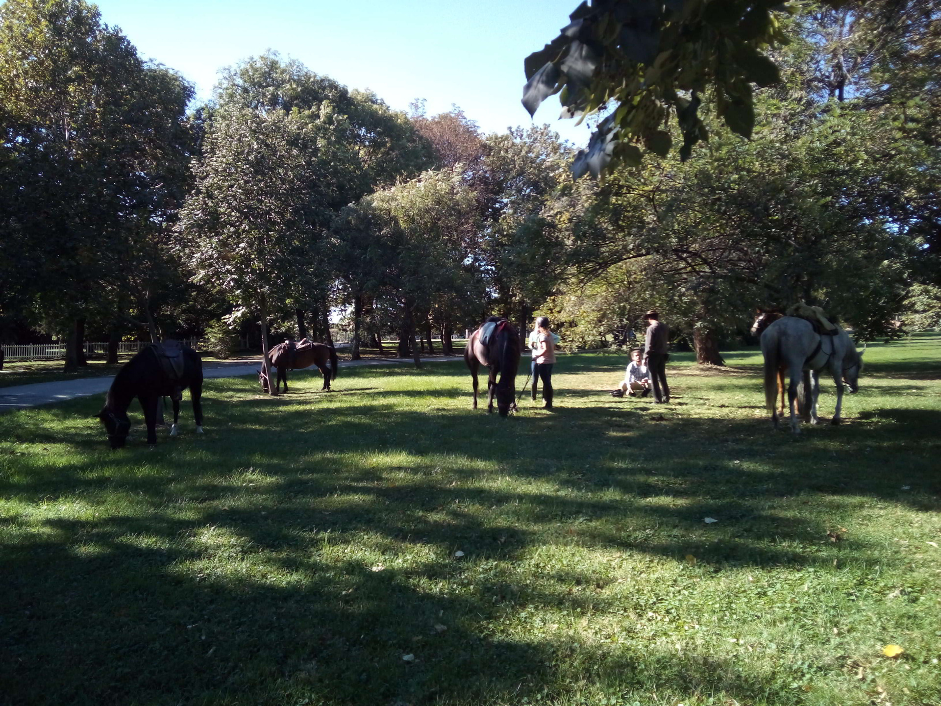 Meeting with other riders, Sunday afternoon.