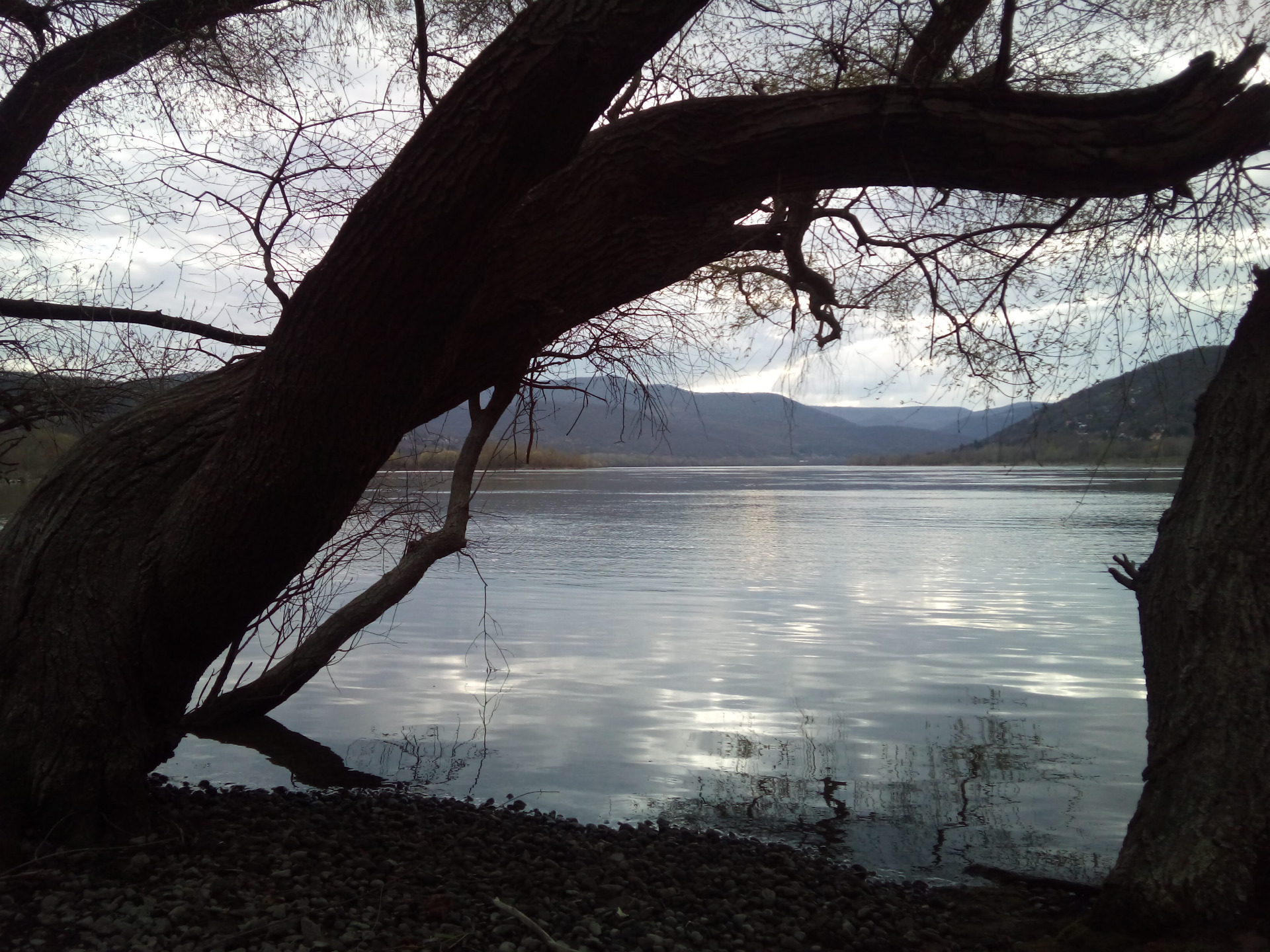 Riverside of the Danube close to the hotel