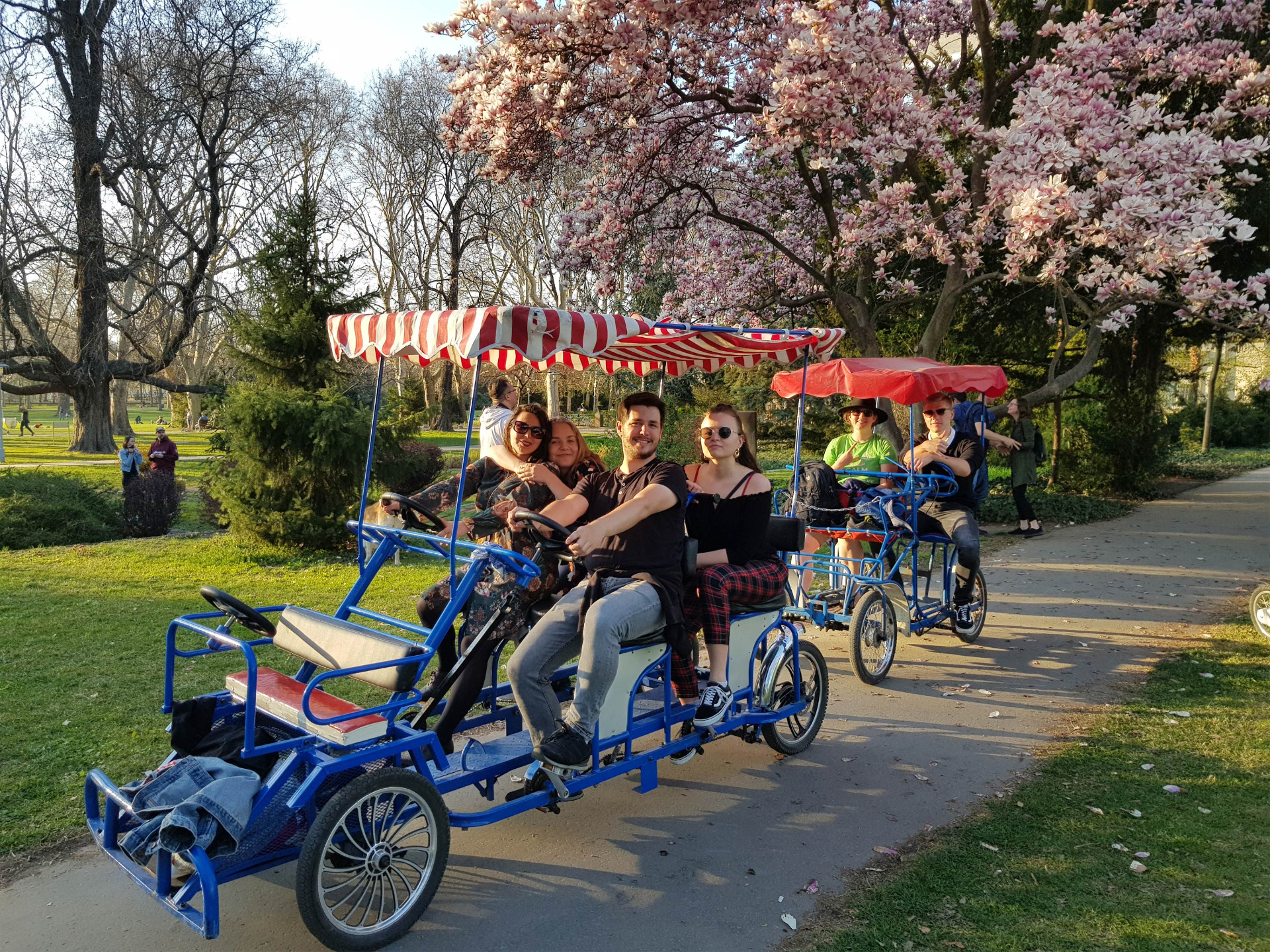 Group picture on surrey bike